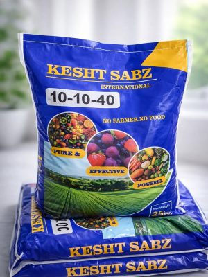 NPK 10-10-40